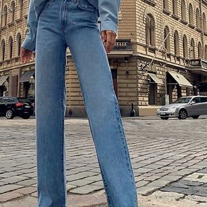 Aritzia Coco Denim